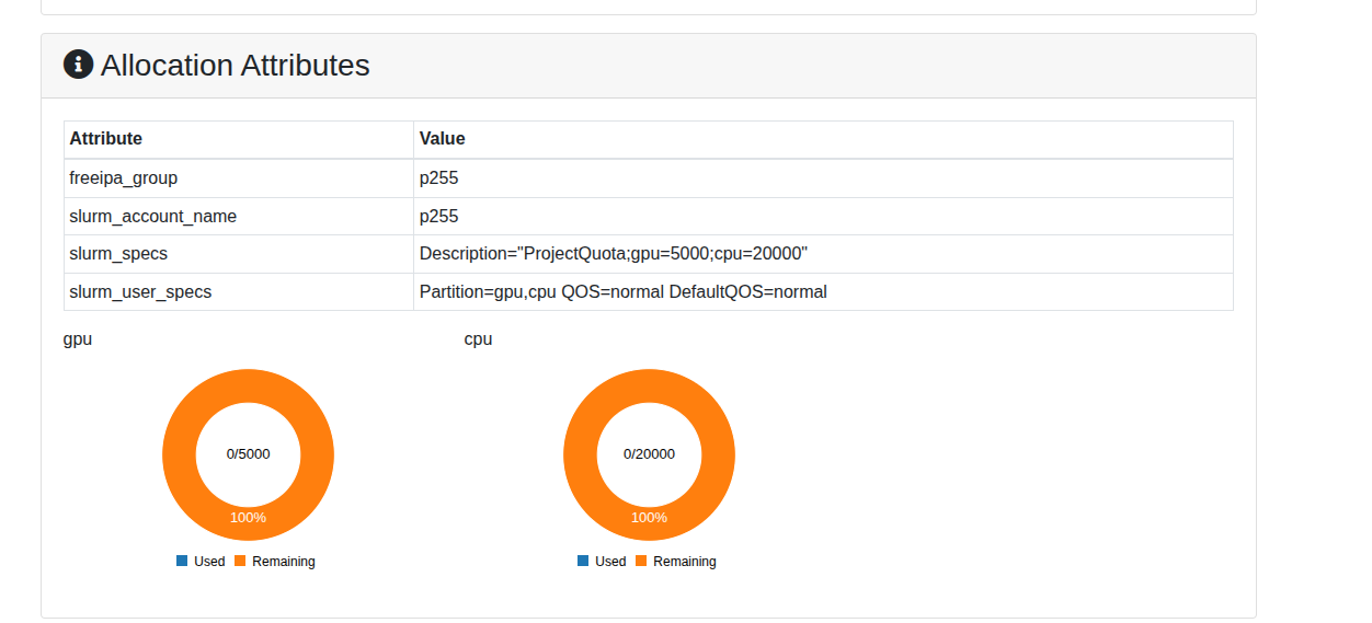 Advanced Allocation Details